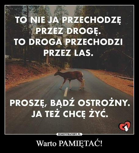 1710888910_qdcgf4_600