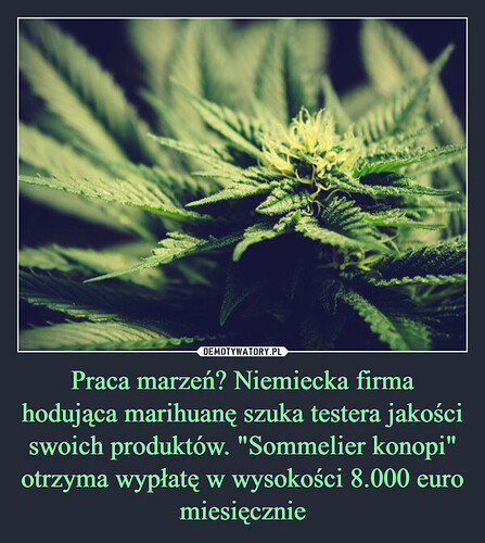 1676352173_5i2zrt_600