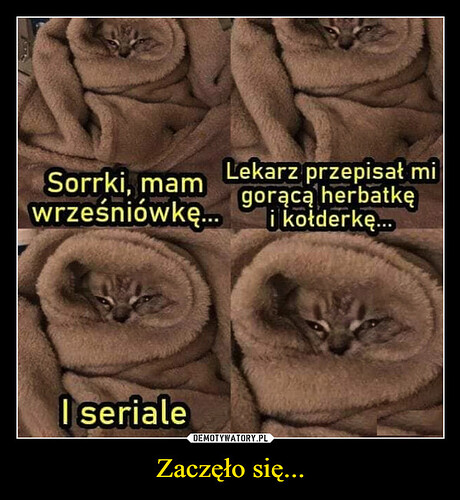 1693504156_fvppva_600