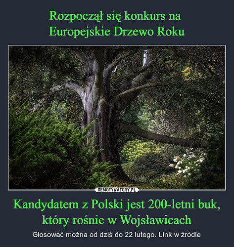 1706865521_ypy7rq_600