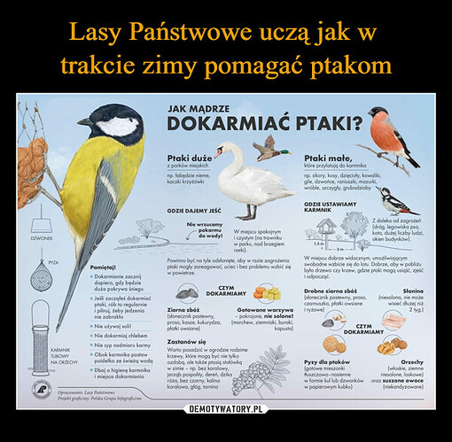 1701750983_vkmtdz_600