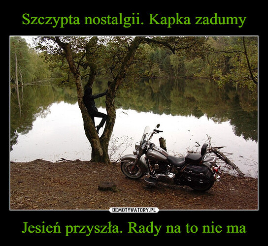 1695661865_8xavtn_600