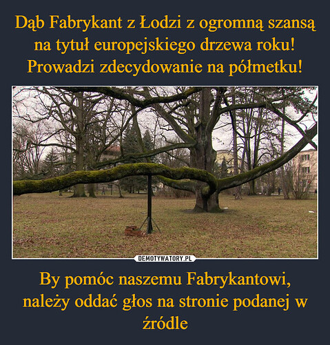 Fabrykant