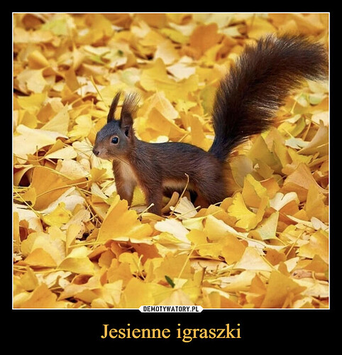 1698075711_zrznnc_600