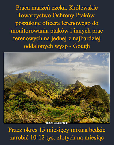 1683262486_yoq1xi_600